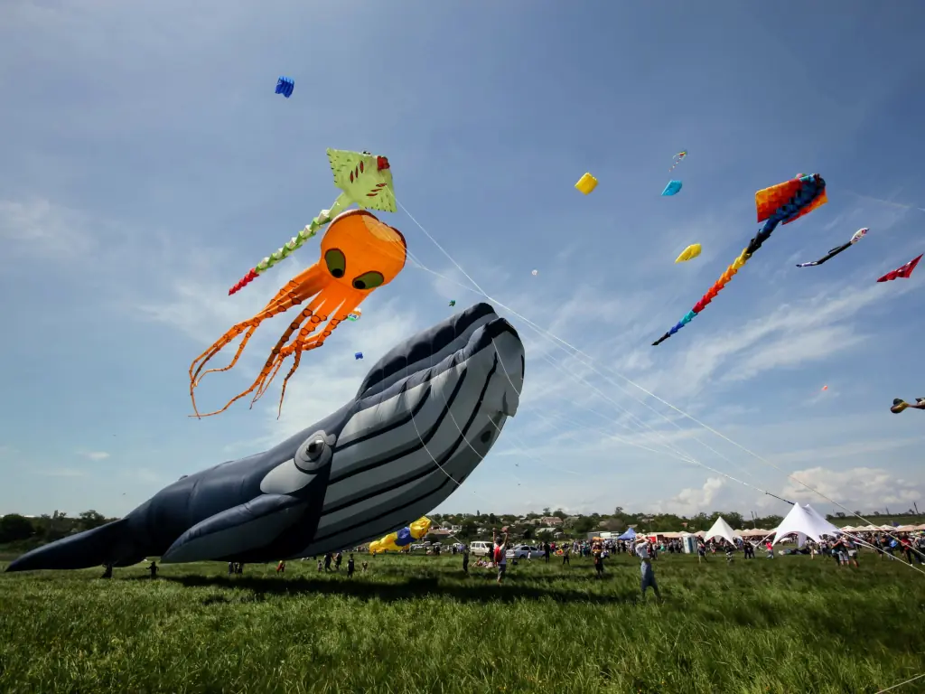 Kite Wings team coordinating a public event
